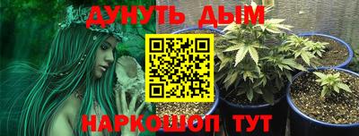 гашик Ярцево