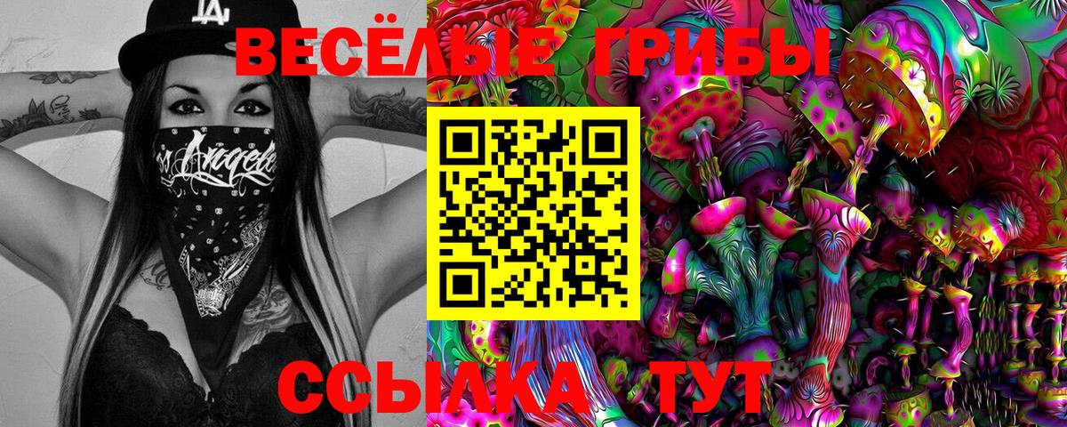 Псилоцибиновые грибы ЛСД Баксан