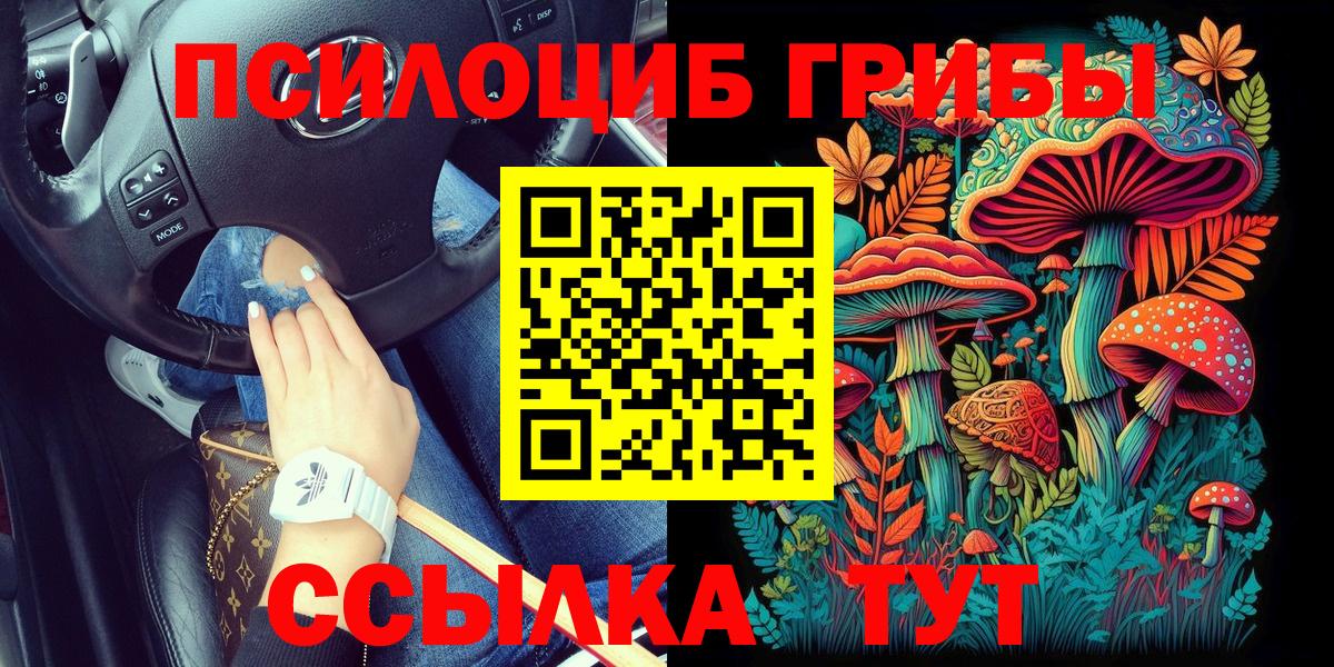 Галлюциногенные грибы MAGIC MUSHROOMS  Вход с VPN  Баксан 